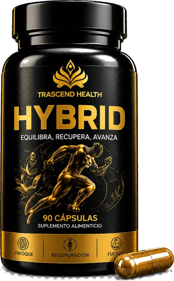 Render conceptual de HYBRID