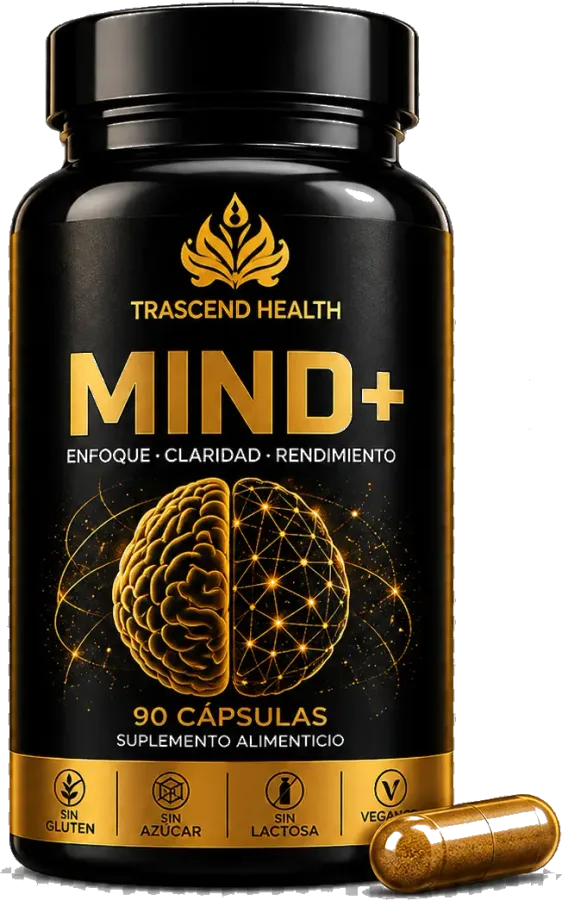 Render conceptual de MIND+