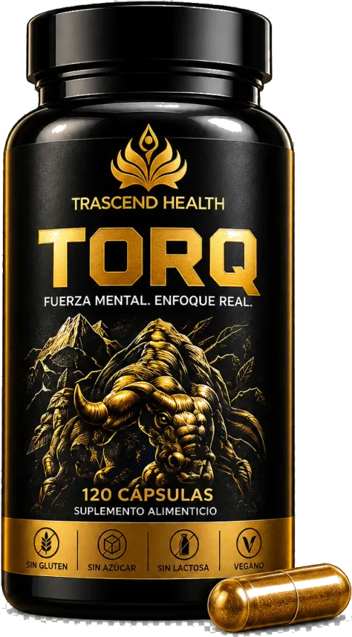 Render conceptual de TORQ